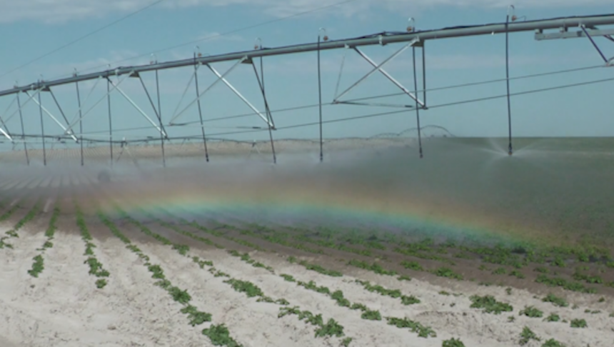 Irrigation watering crops